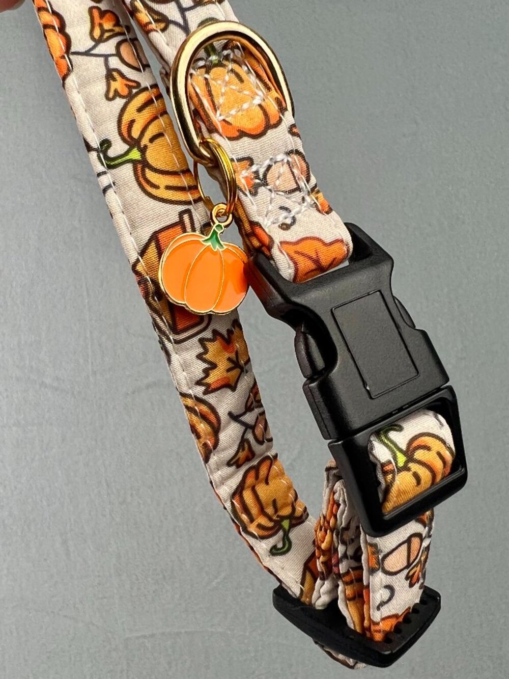 NWOT Small Pet Collar Fall Themed With Pumpkin Charm